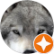 jasper b. Avatar