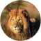 Frans S. Avatar