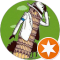 Giacomo F. Avatar
